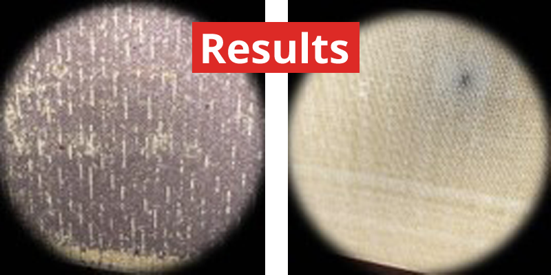 scr-results